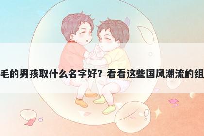 姓毛的男孩取什么名字好?看看这些国风潮流的组合