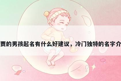 姓贾的男孩起名有什么好建议,冷门独特的名字介绍