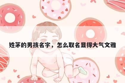 姓茅的男孩名字,怎么取名显得大气文雅