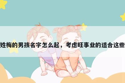 姓梅的男孩名字怎么起,考虑旺事业的适合这些