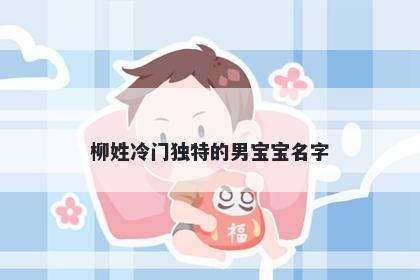 柳姓冷门独特的男宝宝名字