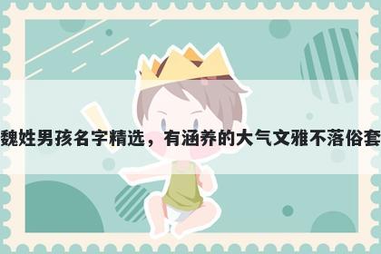 魏姓男孩名字精选，有涵养的大气文雅不落俗套