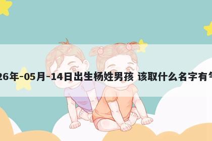 2026年-05月-14日出生杨姓男孩 该取什么名字有气质