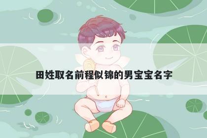 田姓取名前程似锦的男宝宝名字