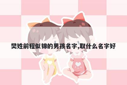 樊姓前程似锦的男孩名字,取什么名字好