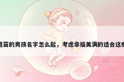 姓苗的男孩名字怎么起，考虑幸福美满的适合这些