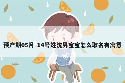 预产期05月-14号姓沈男宝宝怎么取名有寓意