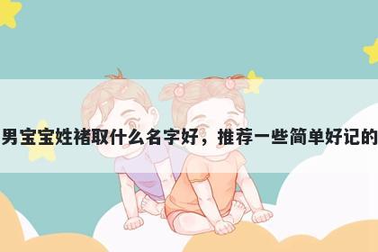 刚出生的男宝宝姓褚取什么名字好，推荐一些简单好记的男孩名字