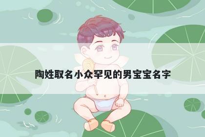 陶姓取名小众罕见的男宝宝名字