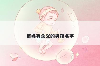 苗姓有含义的男孩名字