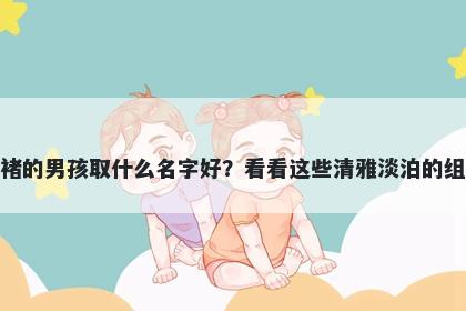 姓褚的男孩取什么名字好？看看这些清雅淡泊的组合