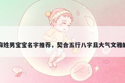 麻姓男宝宝名字推荐，契合五行八字且大气文雅的
