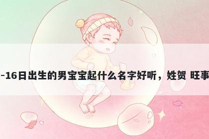 2026年-05月-16日出生的男宝宝起什么名字好听，姓贺 旺事业的名字推荐