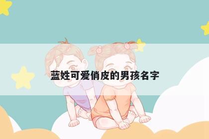 蓝姓可爱俏皮的男孩名字