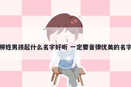 柳姓男孩起什么名字好听 一定要音律优美的名字