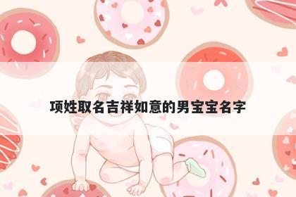 项姓取名吉祥如意的男宝宝名字