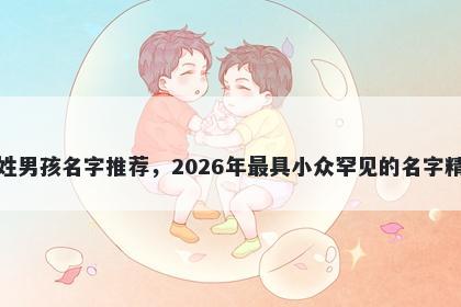 张姓男孩名字推荐，2026年最具小众罕见的名字精选