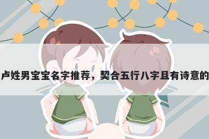 卢姓男宝宝名字推荐，契合五行八字且有诗意的