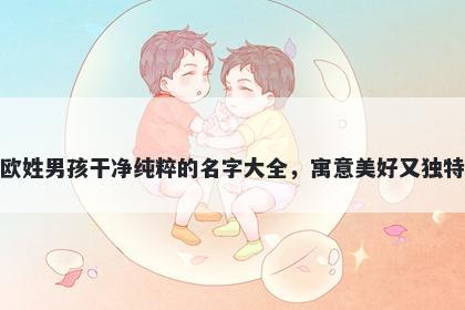 欧姓男孩干净纯粹的名字大全，寓意美好又独特