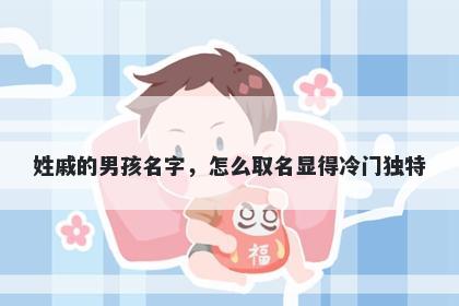 姓戚的男孩名字，怎么取名显得冷门独特