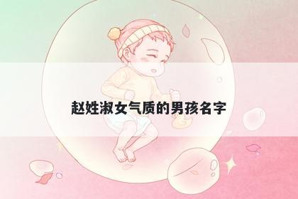 赵姓淑女气质的男孩名字