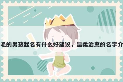 姓毛的男孩起名有什么好建议，温柔治愈的名字介绍
