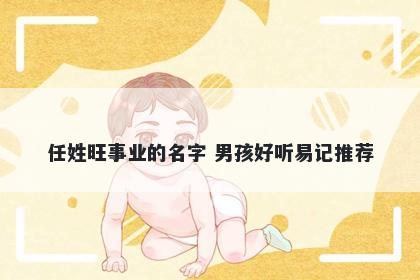 任姓旺事业的名字 男孩好听易记推荐