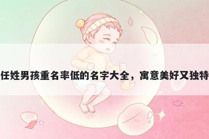 任姓男孩重名率低的名字大全，寓意美好又独特